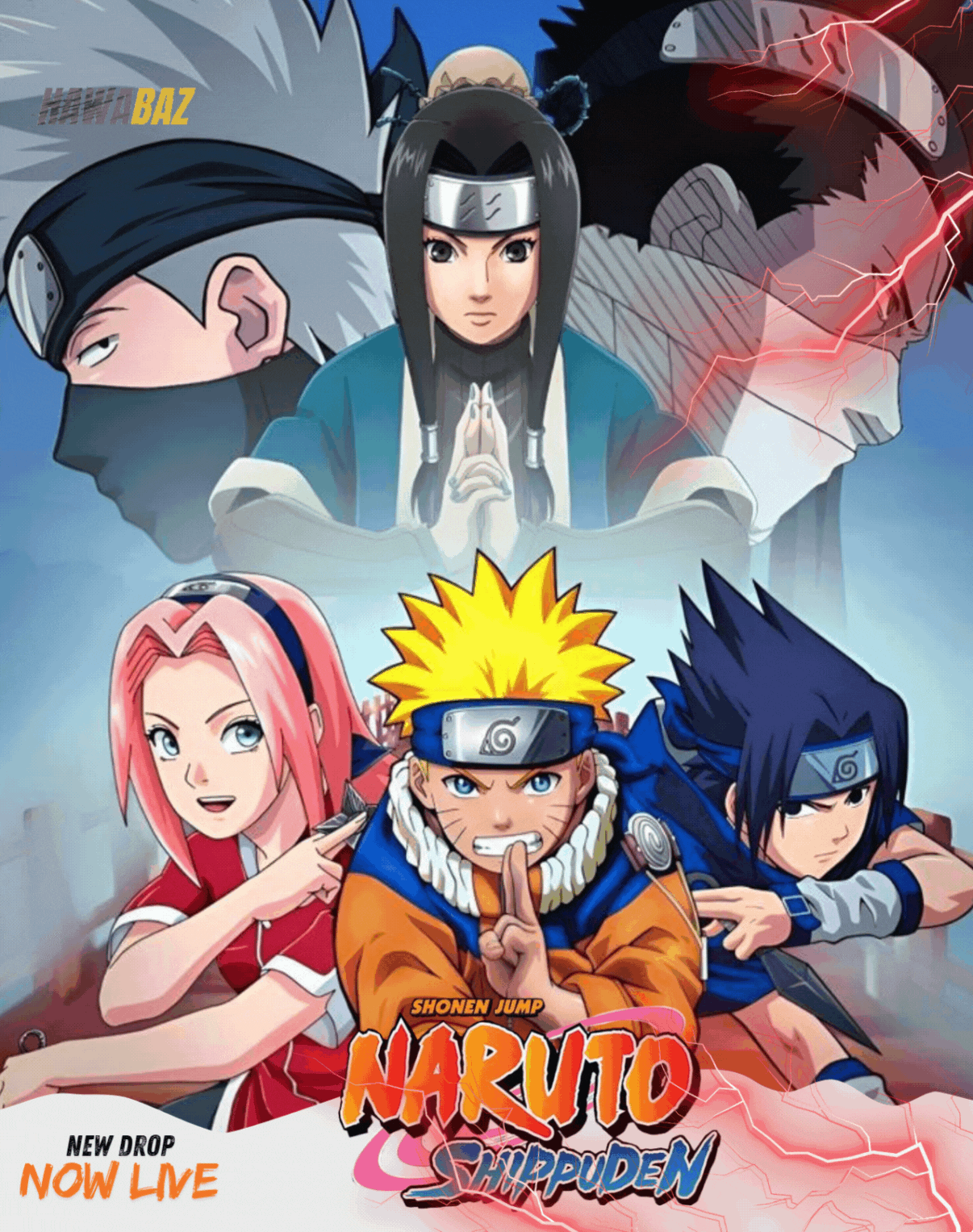 Naruto Collection's